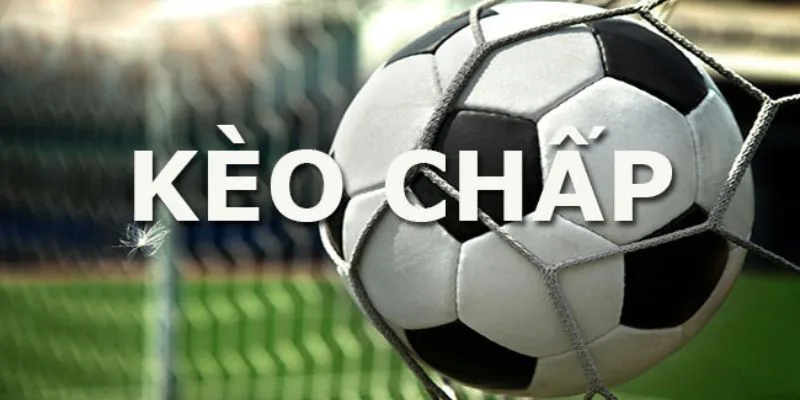 Kèo Handicap Là Gì? Kinh Nghiệm Chơi Thắng Lớn Tại 8xbet